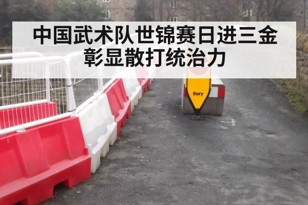中国武术队世锦赛日进三金彰显散打统治力